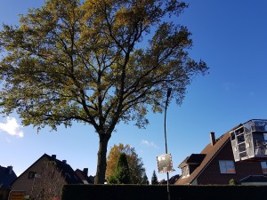 Quelle: ffb-pr